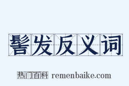 髻发反义词是什么意思的图片